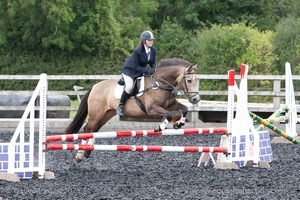 Class 5 - Fences not above 2'6